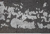 road asphalt painted 0003